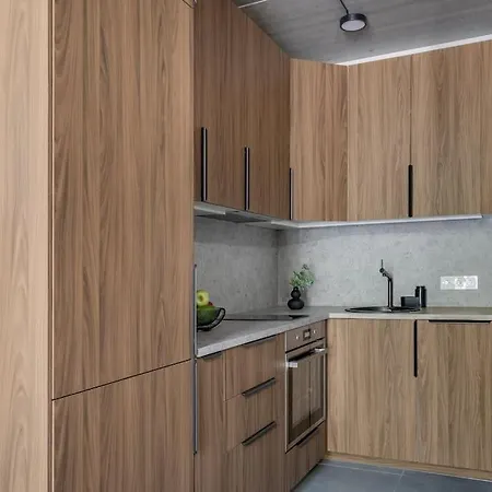 Apartment Stylish Loft In Vilnius