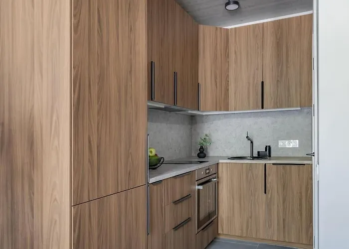 Apartamento Stylish Loft In Vilna